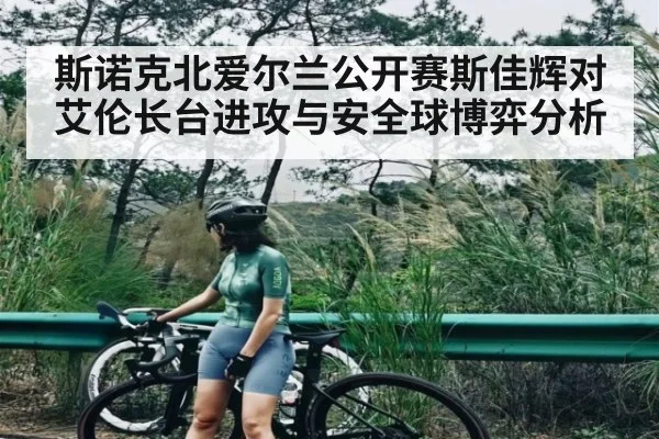 斯诺克北爱尔兰公开赛斯佳辉对艾伦长台进攻与安全球博弈分析